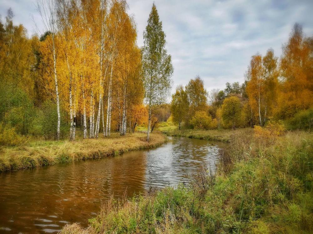 Photograph by Ольга Павленко