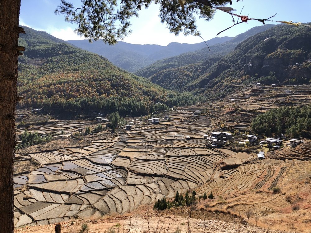 Photograph by Chimi Wangmo