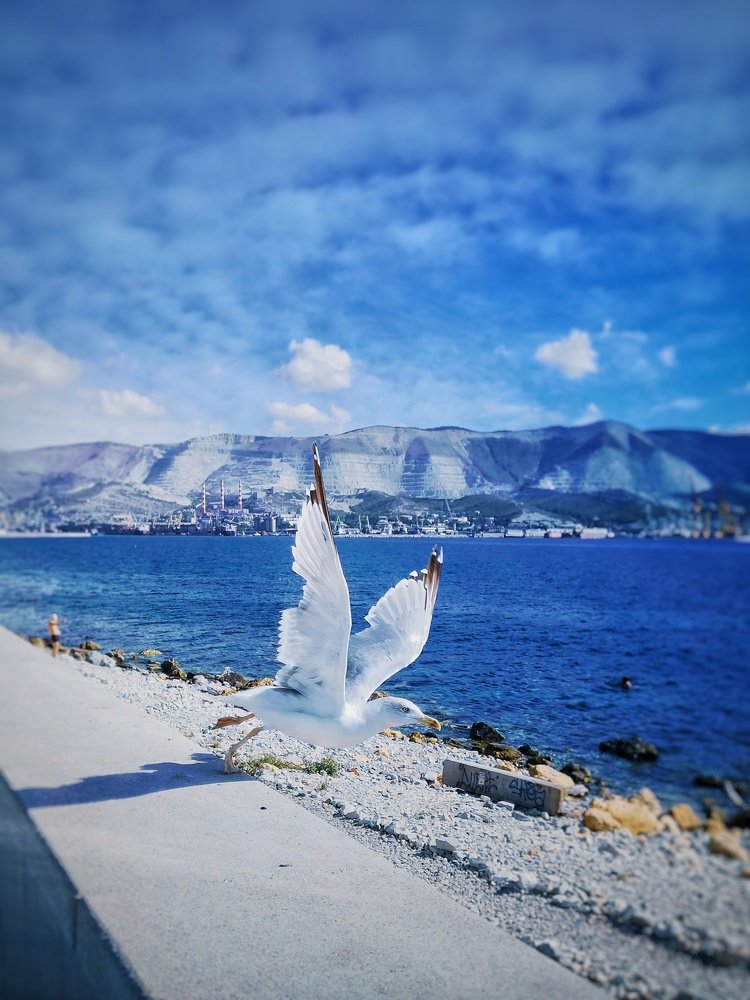 На набережной Новороссийска