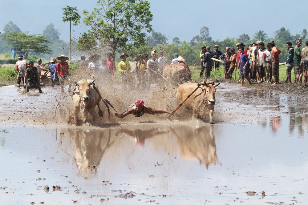 Photograph by weldi musni