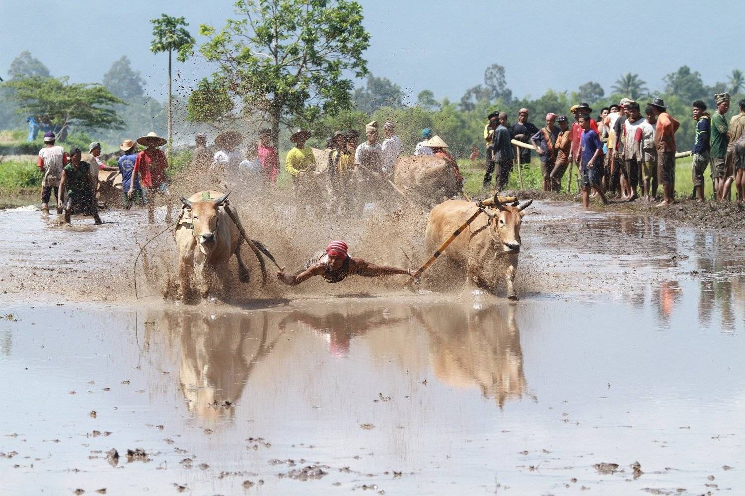 Фотография #4897508