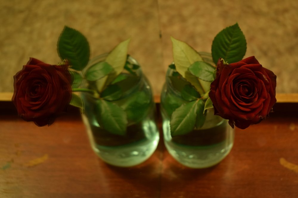 Зеркало и красная роза