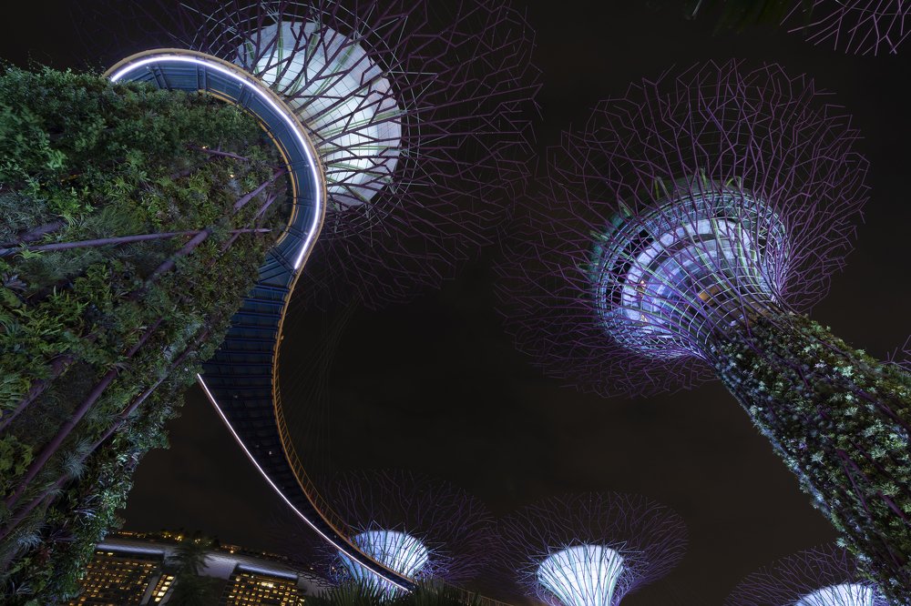 Photograph by Guan Boon Wong