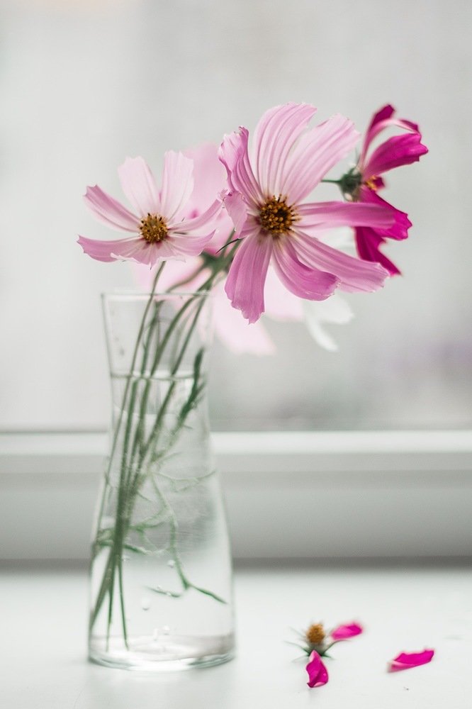 Photograph by Алена