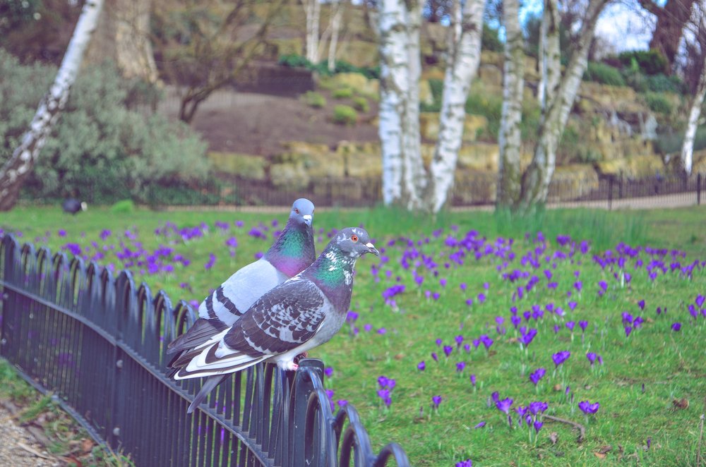 Photograph by Сергей Глухарев