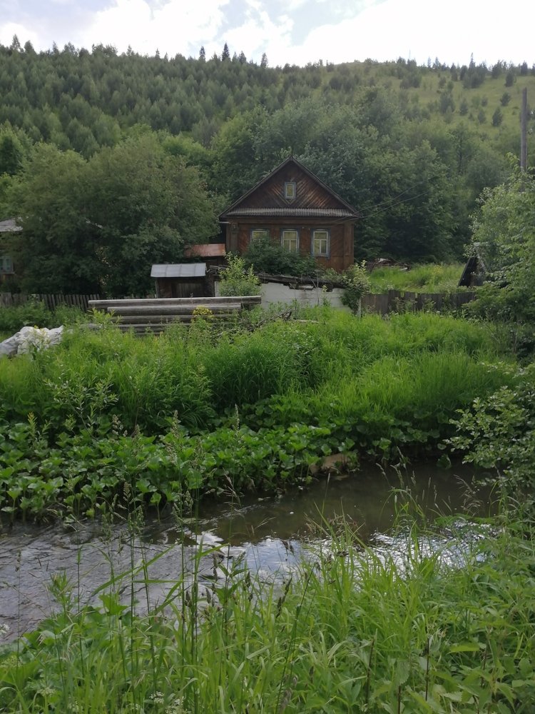 Photo #4897731