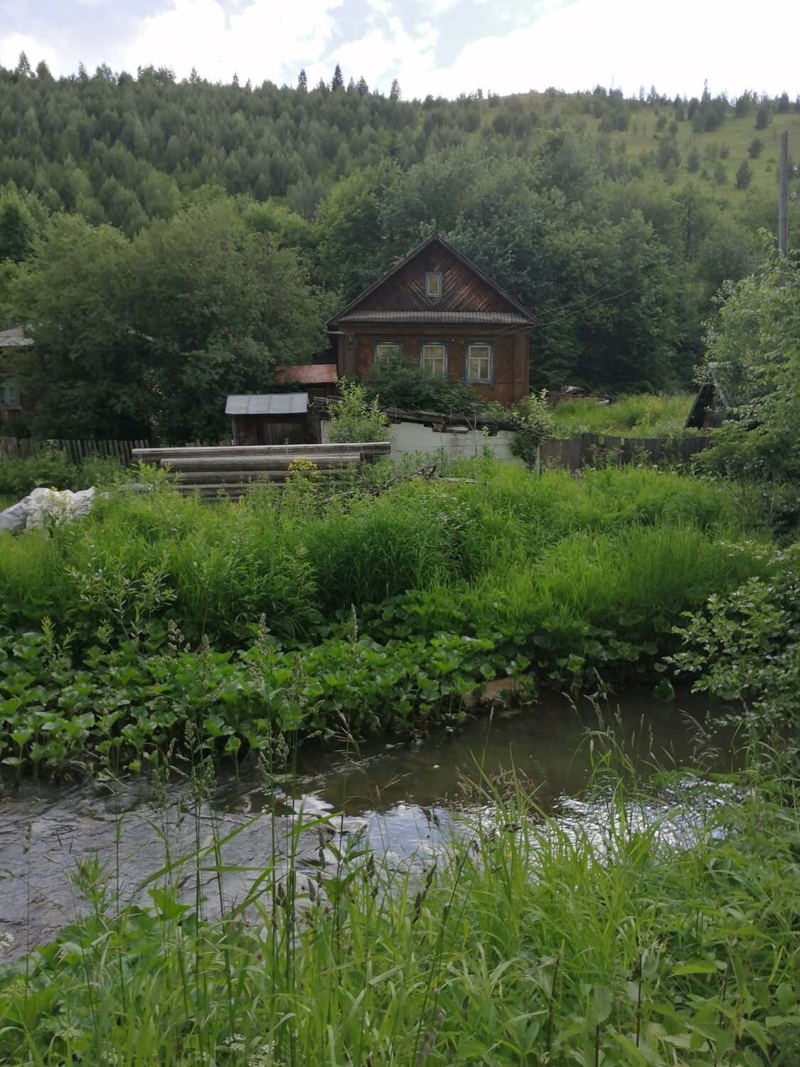 Photo #4897731