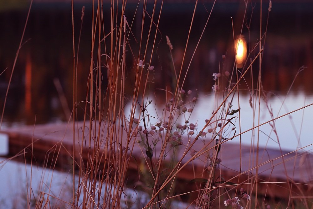 Photograph by Юлия Шабалдина