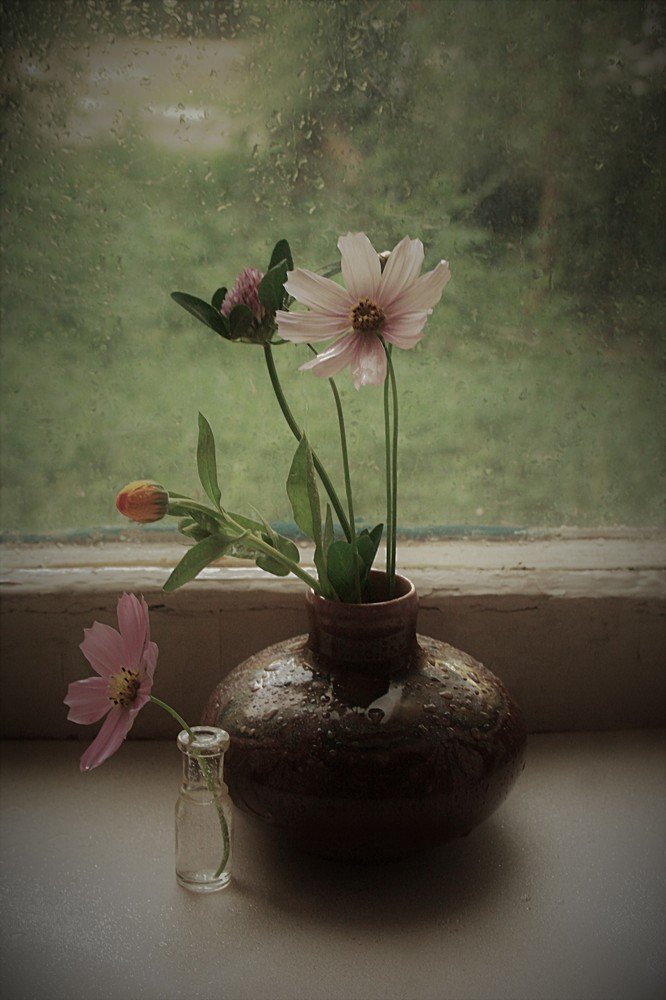 Photograph by Yroslava Veretina