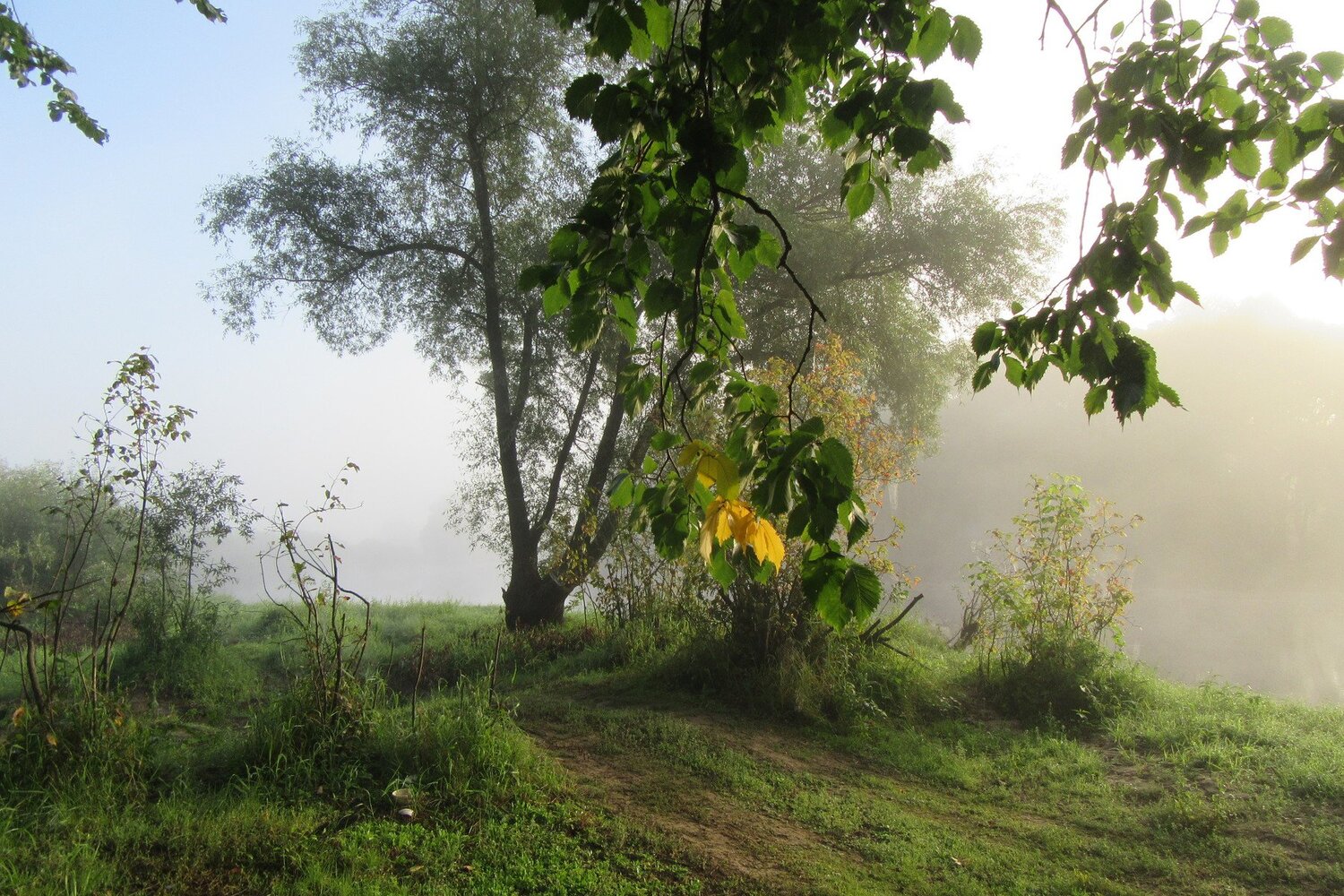 Photo #4897874