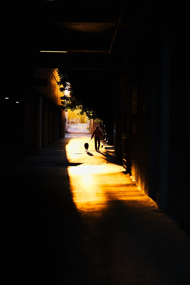 Morning Slice of Life