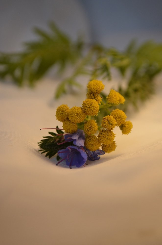 Фотография автора Евгения Илина