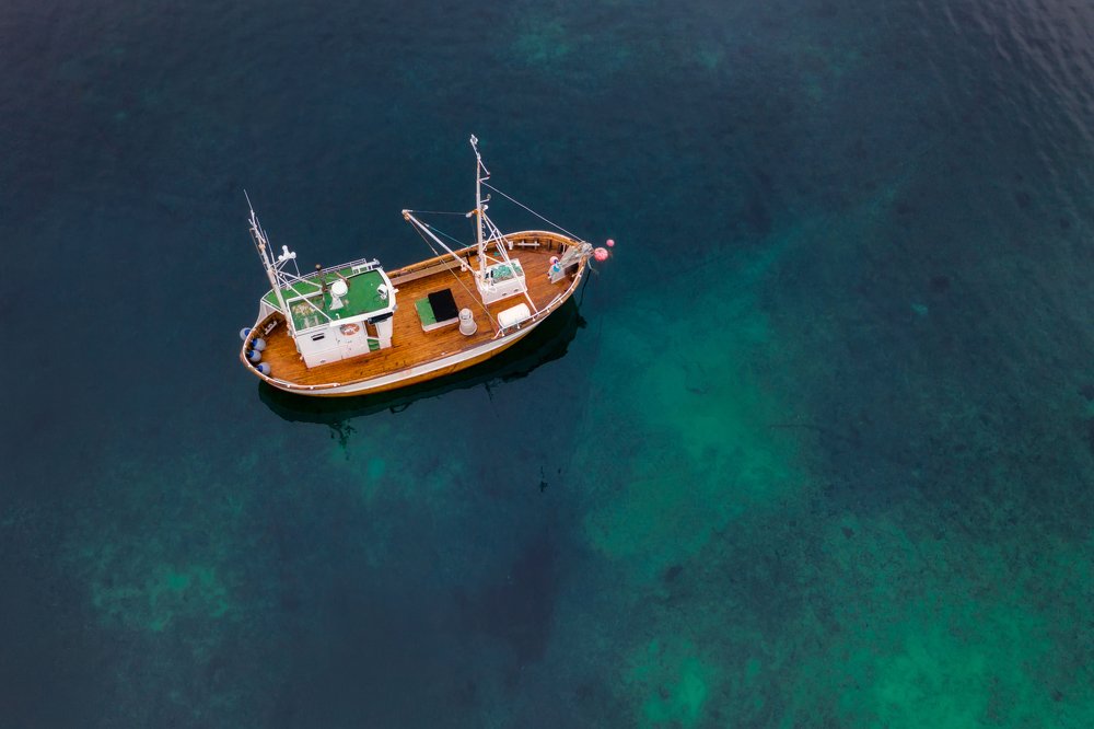 Photograph by Юлия Беркута