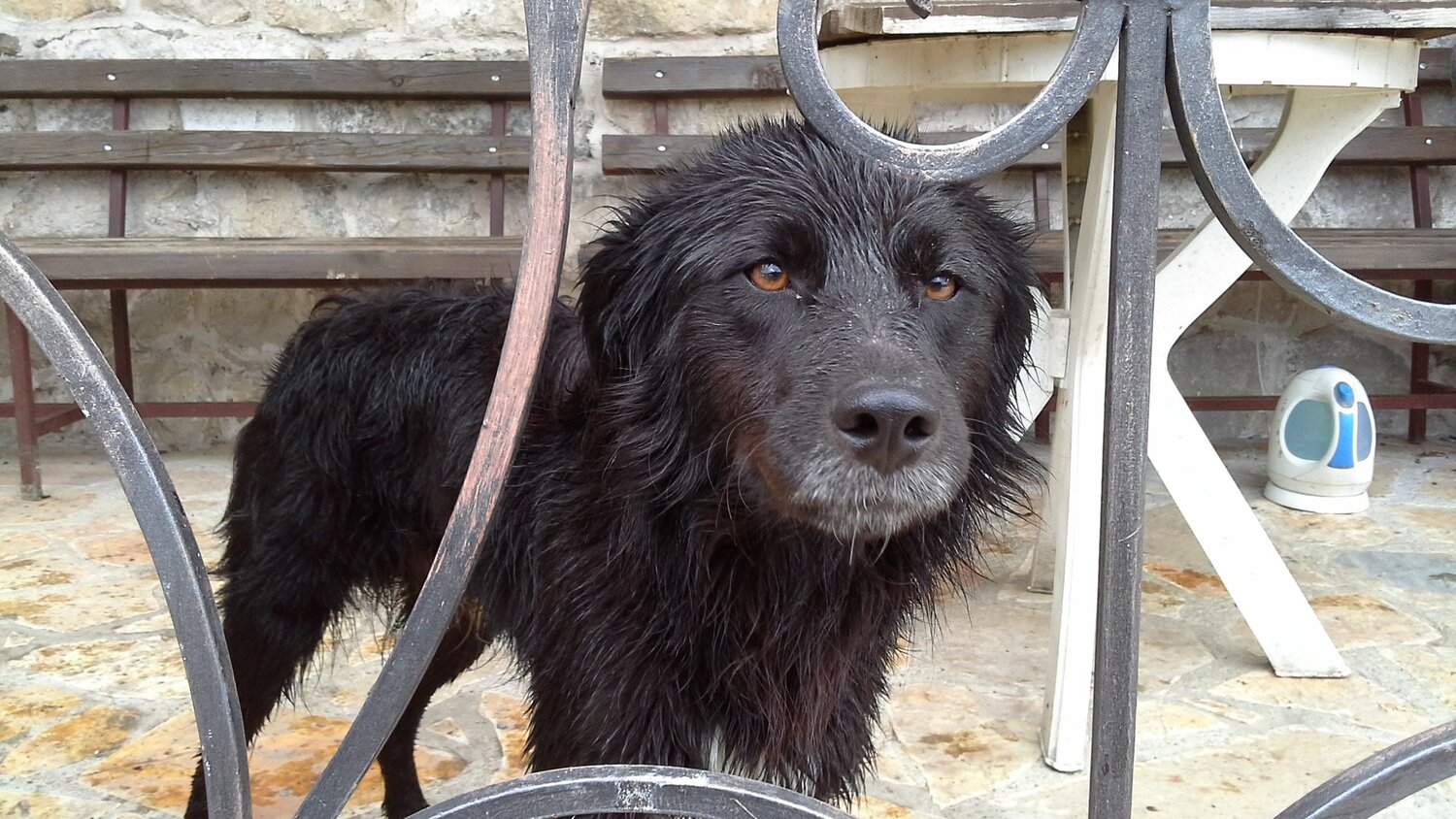 Photo #4898401