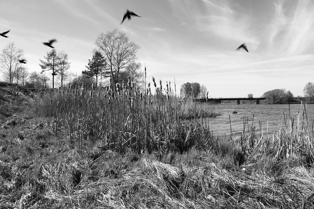 Photograph by Иван Серебряков