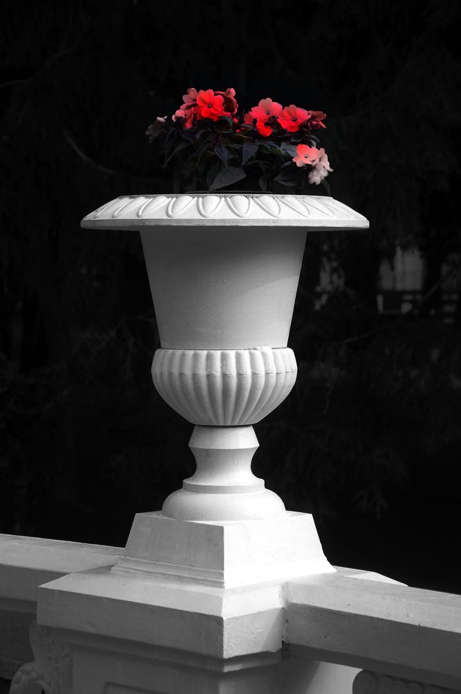 Photograph by БРОВКО АЛЕКСАНДР ИВАНОВИЧ