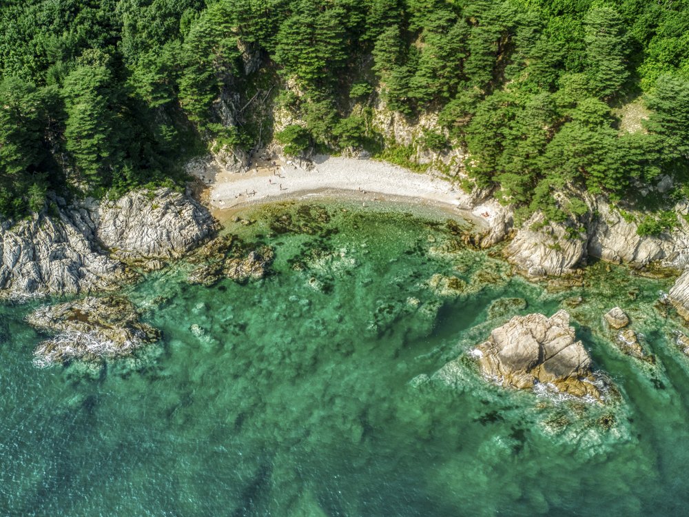 Photograph by Александр Леньков