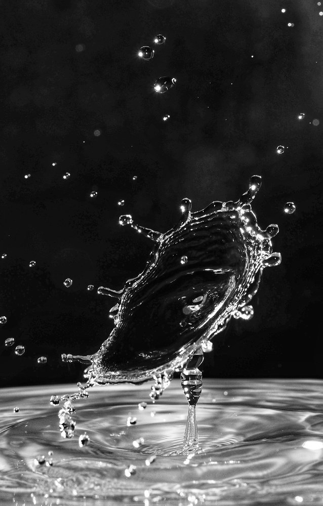 Photograph by Ольга Линк