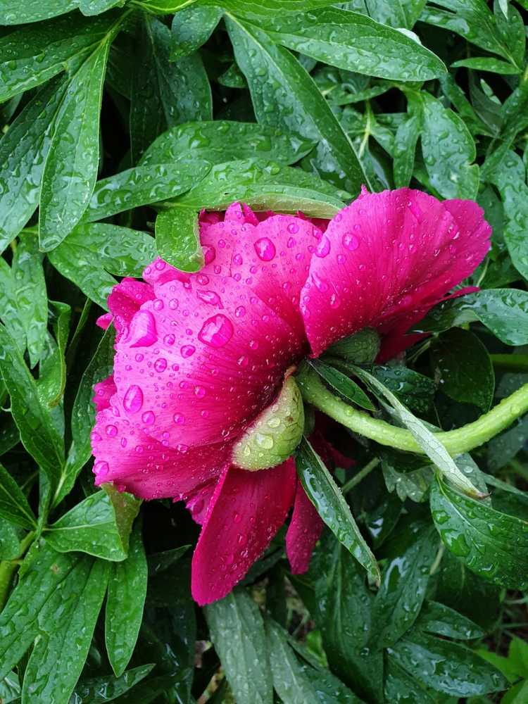 Photograph by Kсавиера