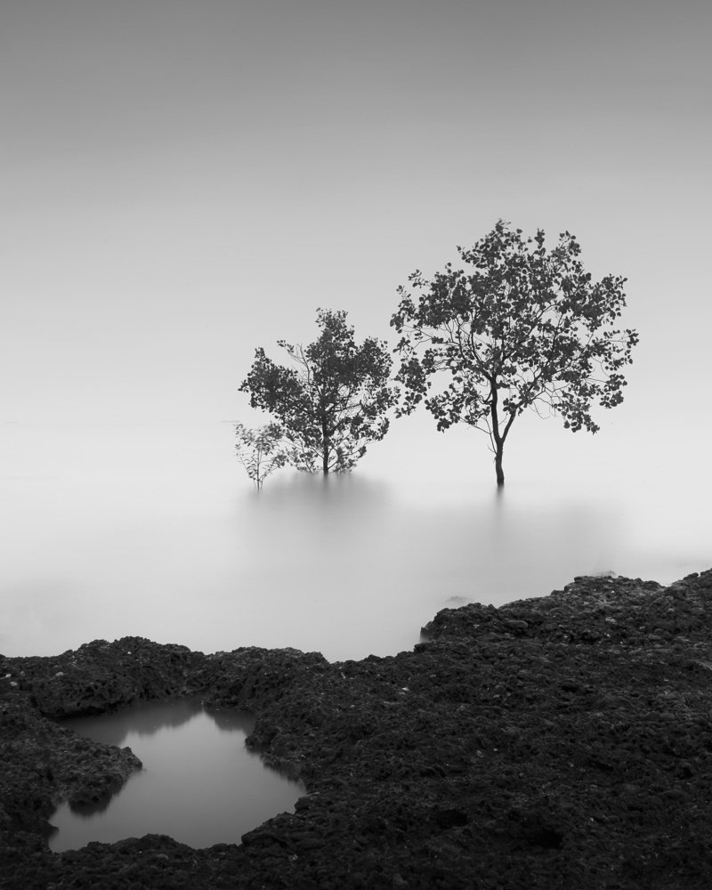 Фотография автора soo mui loh