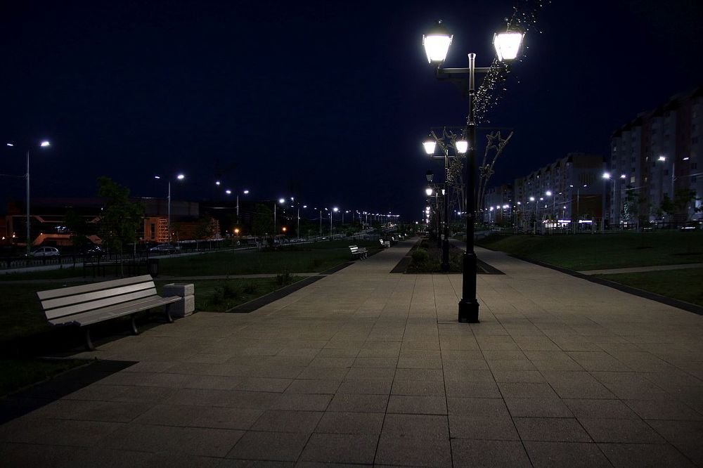 Photograph by 