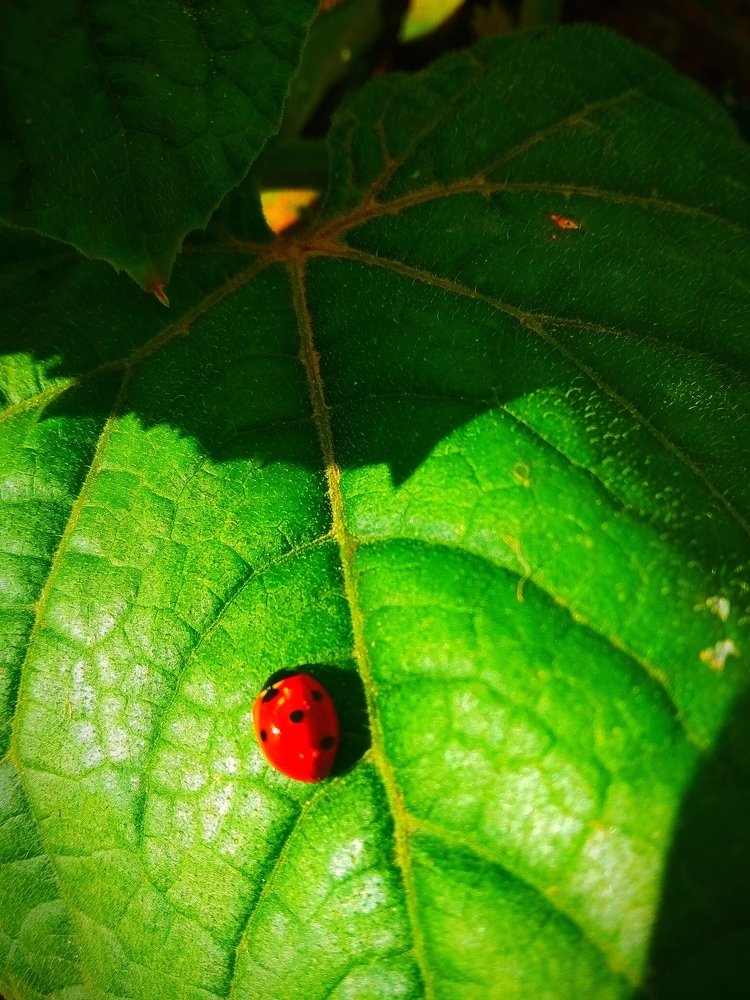 Photograph by Андрей Иванов