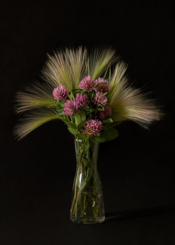 Фотография автора Елена Ельшина