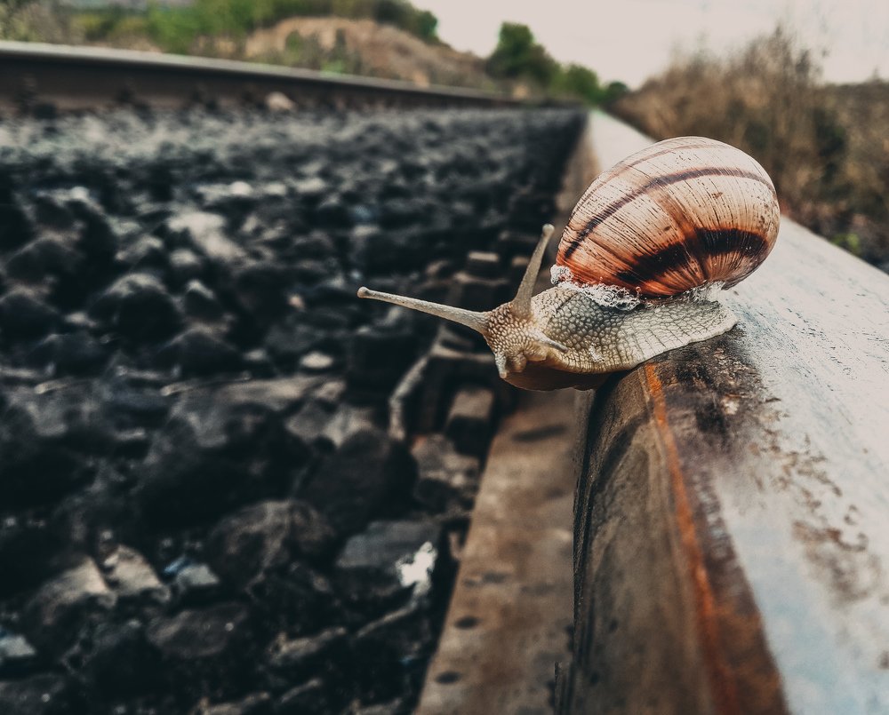 Фотография автора Дмитрий Деревянко