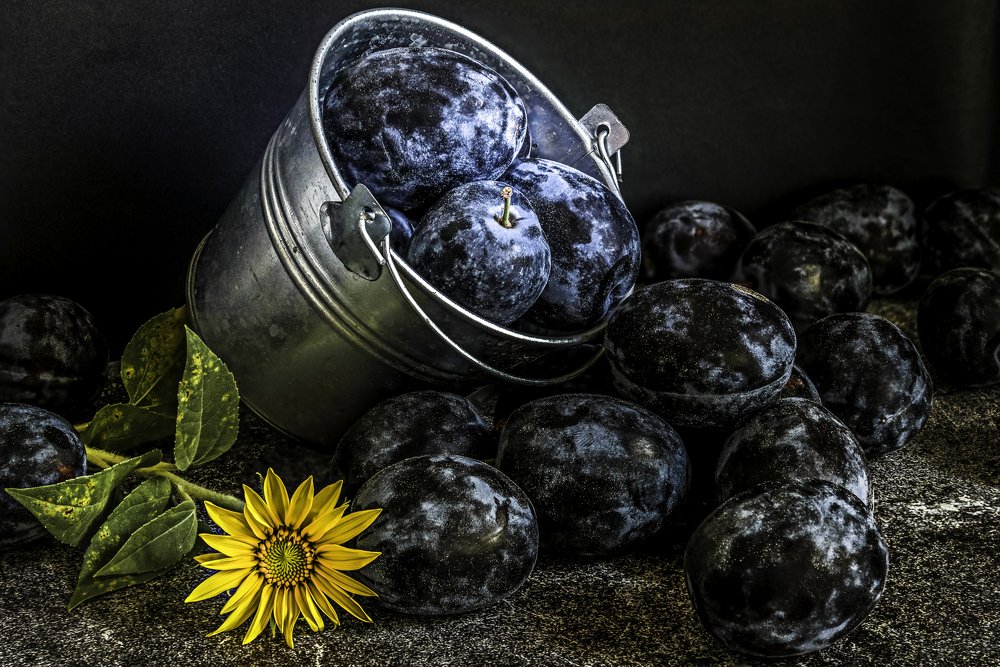 Photograph by Dragan Cerovic