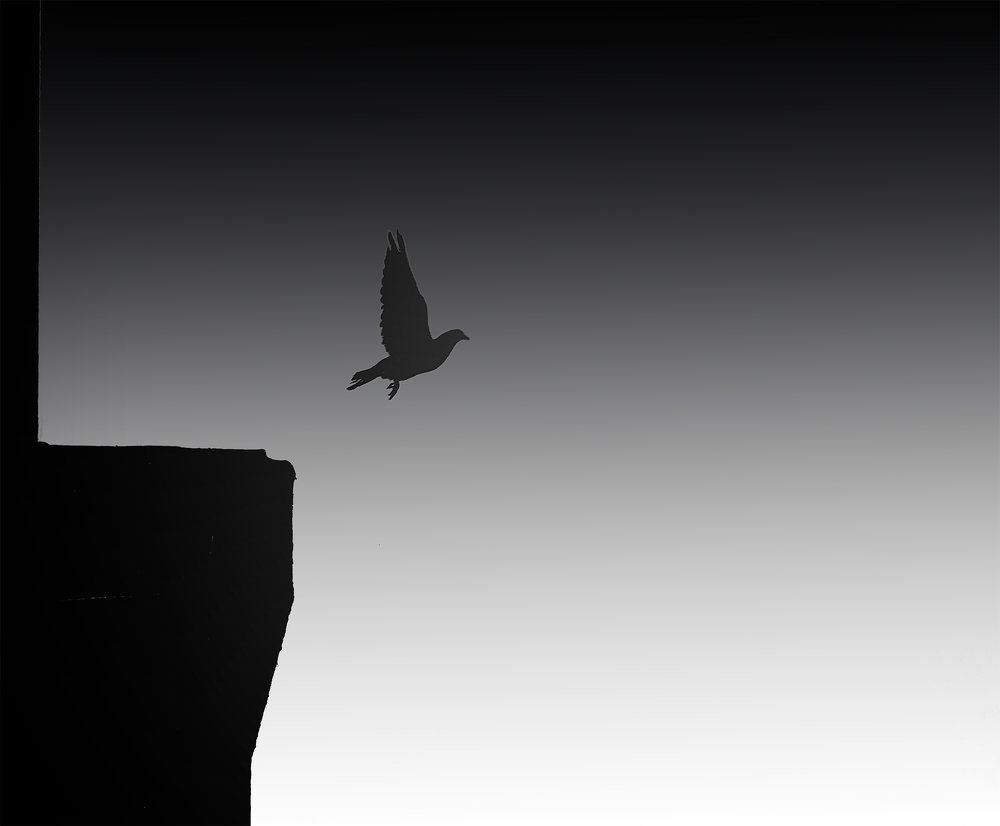 Photograph by Sıtkı Aksoy