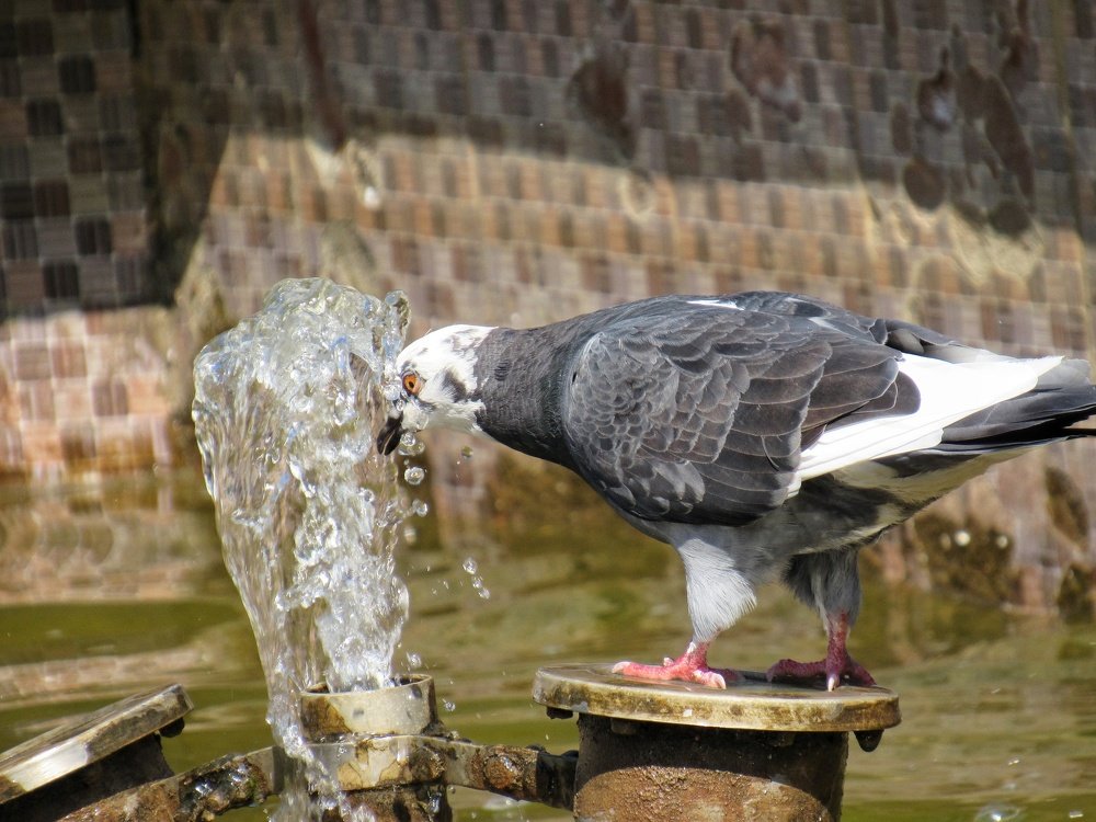 Photograph by Марина Савченко