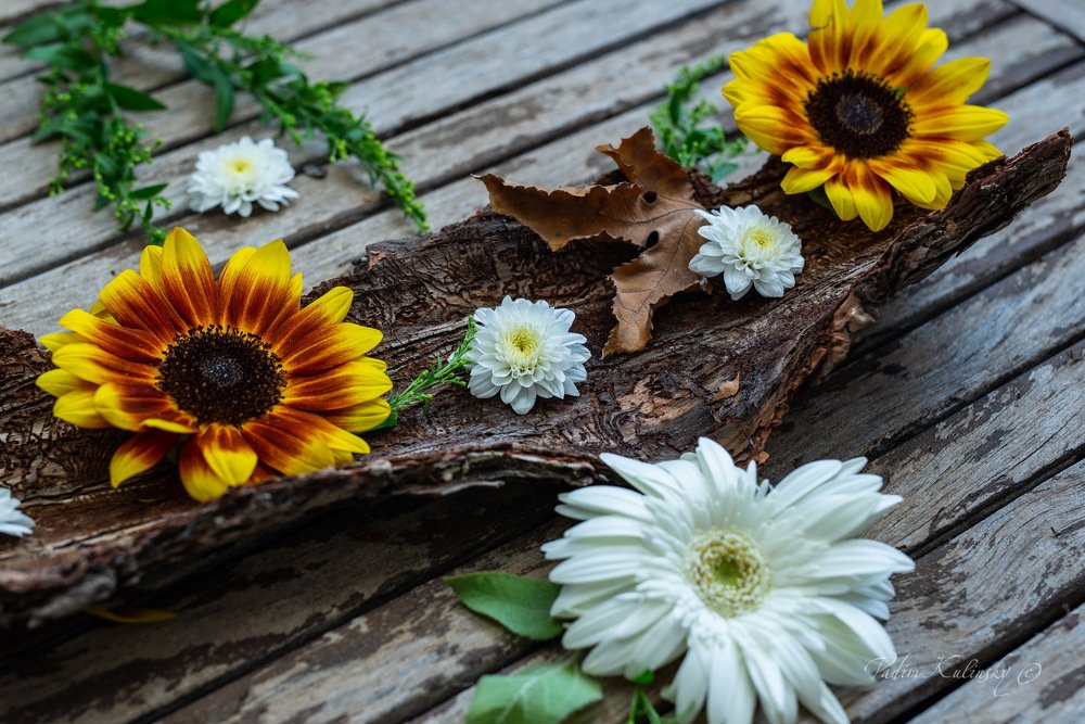 Photograph by Вадим Кулинский