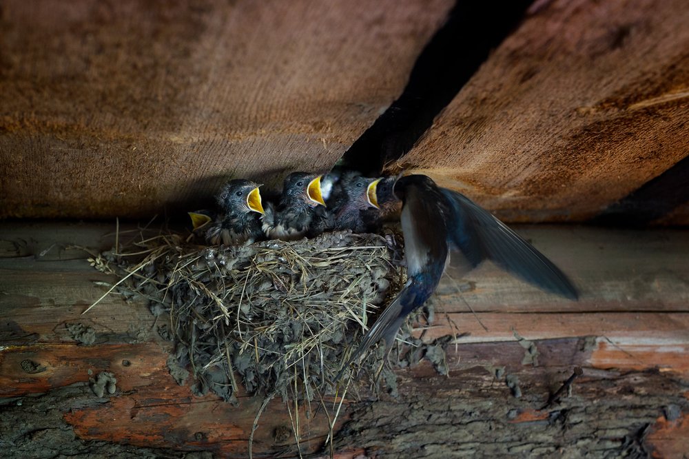 Photograph by Сергей Андреев