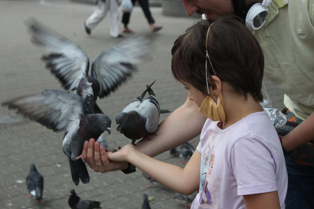 Фотография автора Анна Кравченко