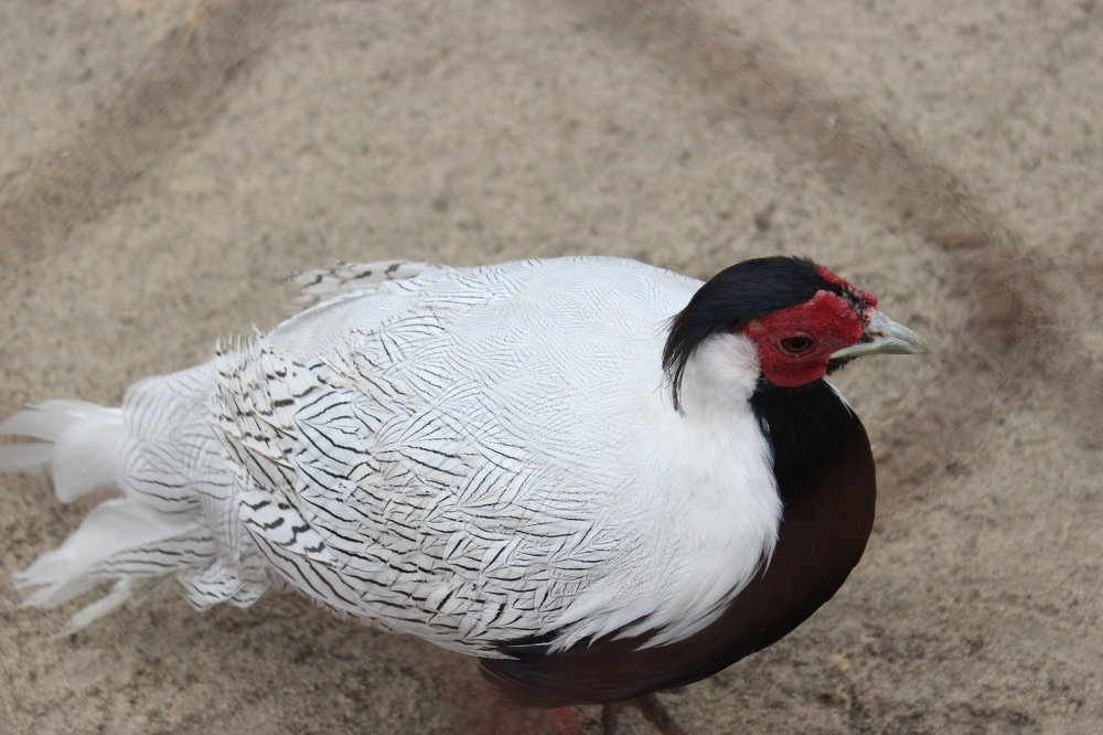 Фотография автора Анна Кравченко