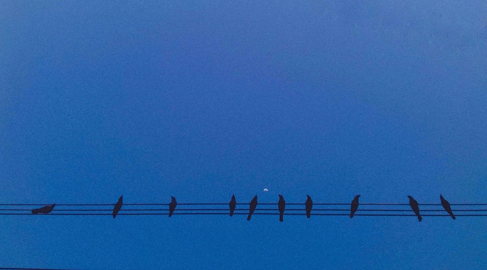 Photograph by Aritra Sagar