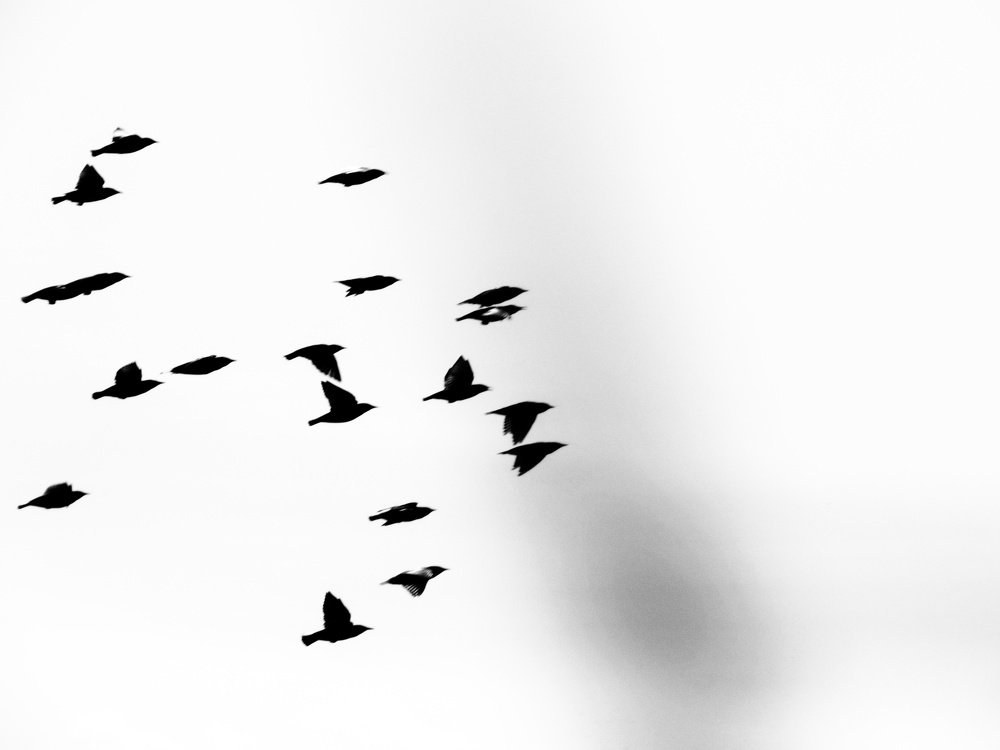 Photograph by Марина Савченко