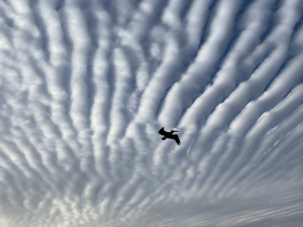 Photograph by Виктория Шурбина