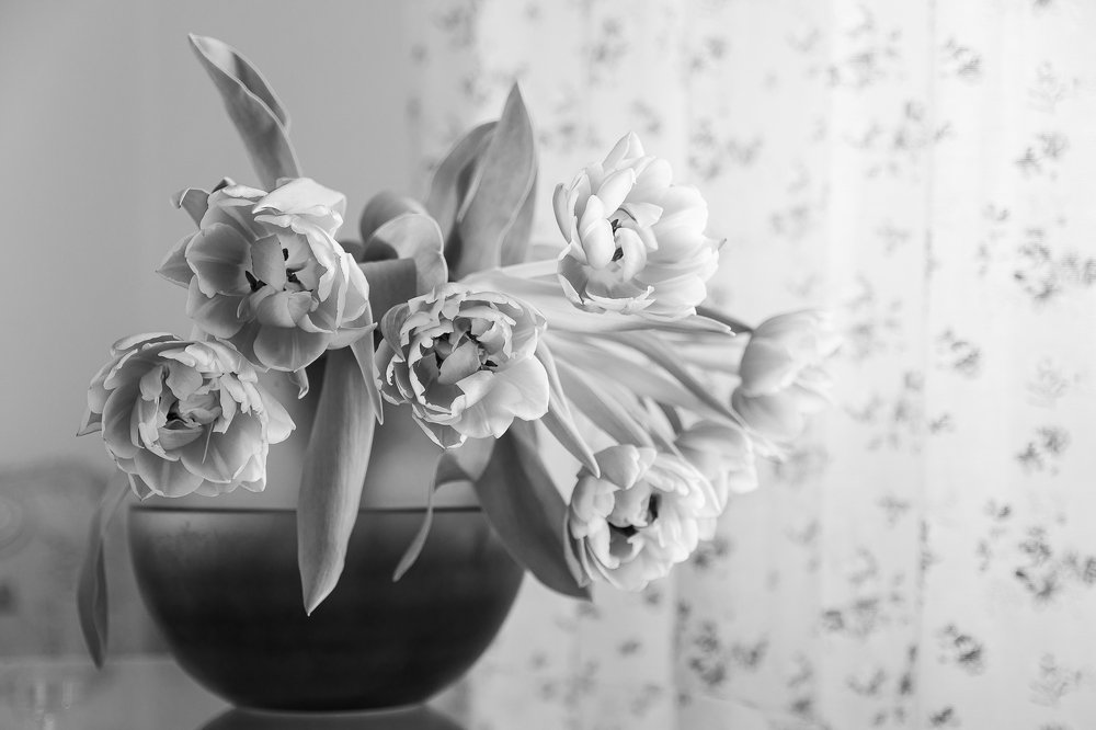 Photograph by Violetta Derkach