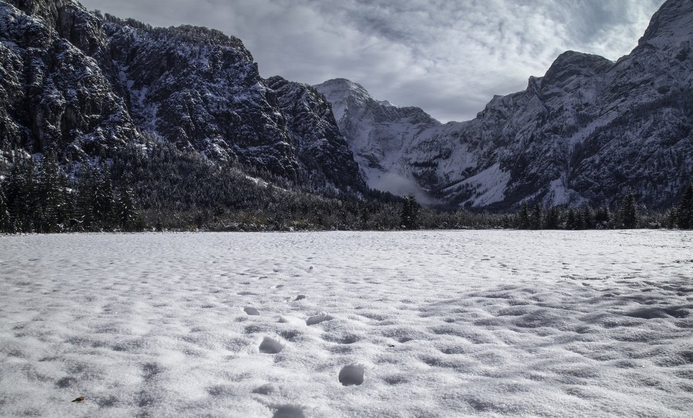 Photograph by Gerard Ngo