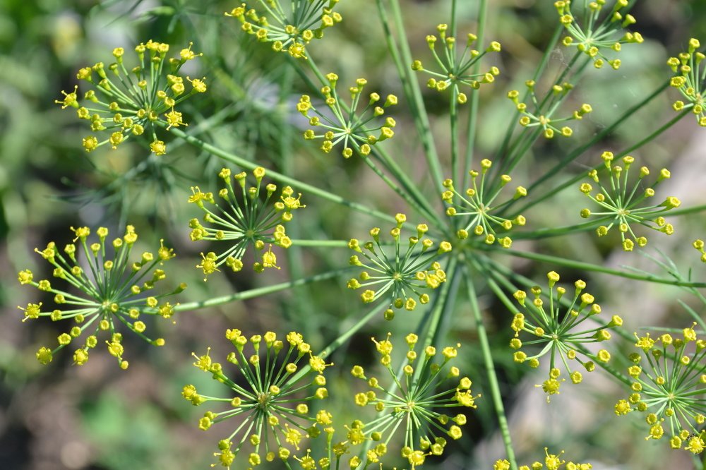 Photograph by Камила Борисоглебская