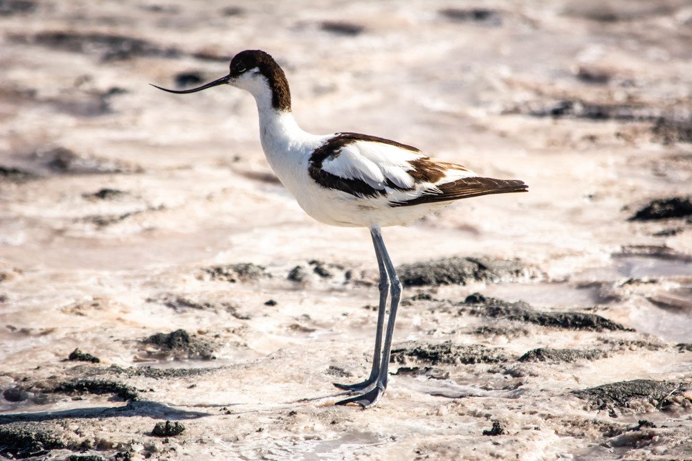 Photograph by Владислав Гушул