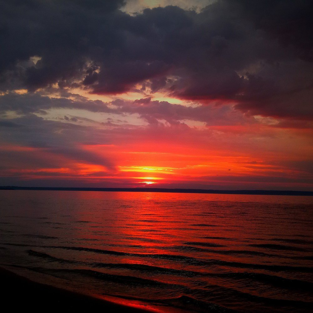 Photograph by 