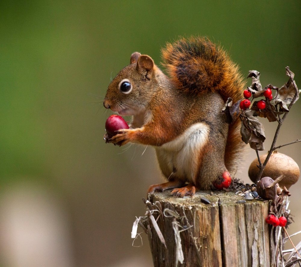 Photograph by Blacc Ramakgwakgwa