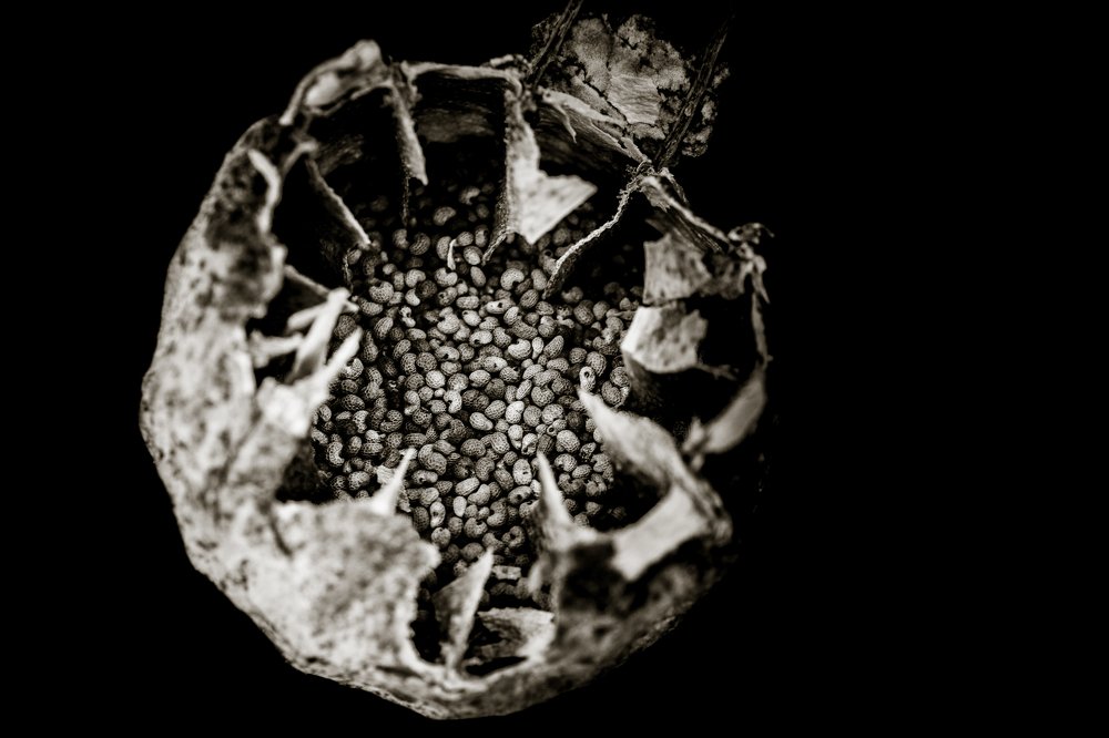 Photograph by Juraj Šulek