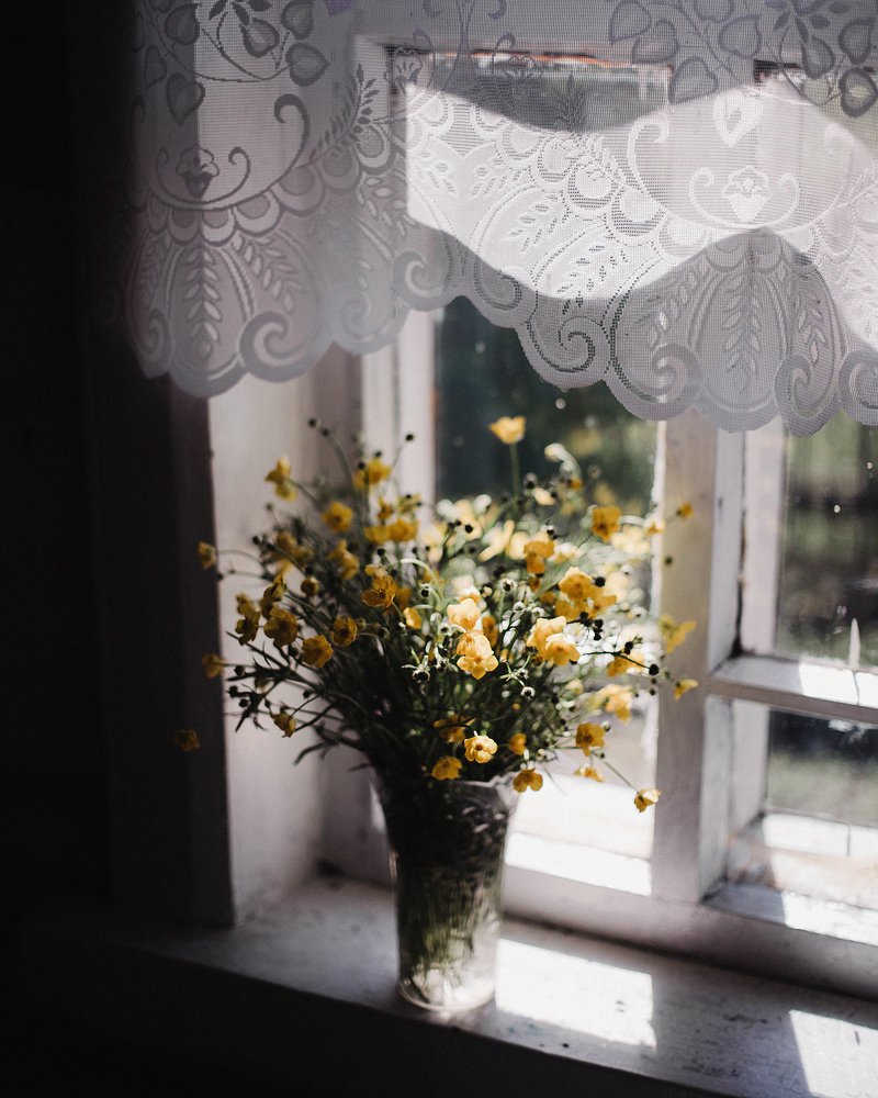 Фотография автора Анна Беляева