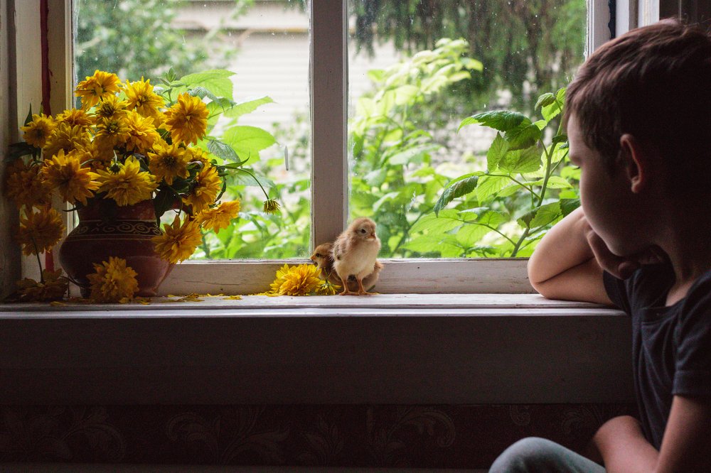 Photograph by Гульназ Зиянщина