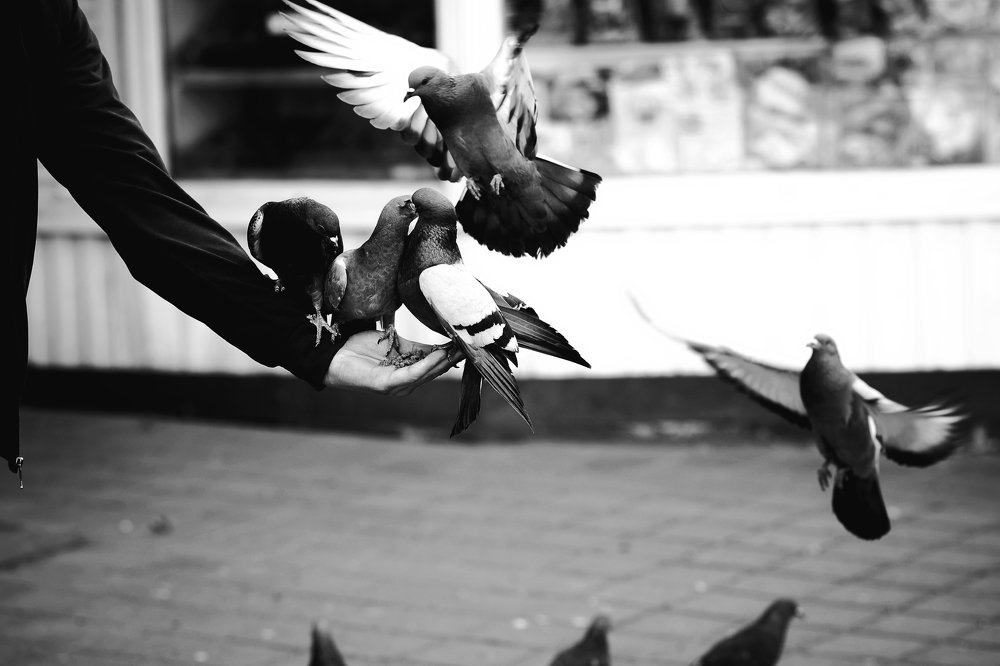 Photograph by Валерий Зенович