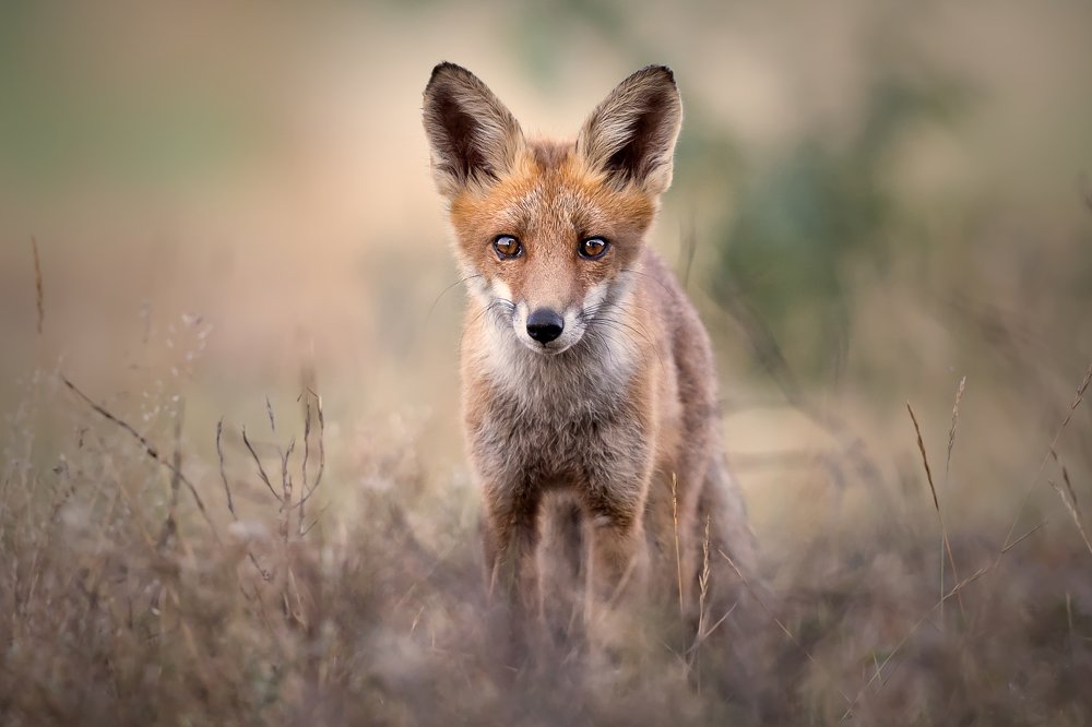 A baby’s curiosity