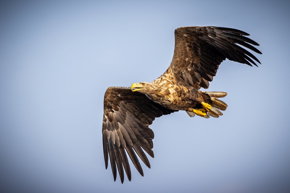 Photograph by Carsten Thamdrup Lund